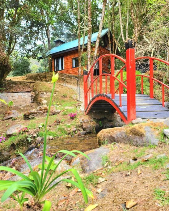Unicorn Lodge: Direct Riverfront : Unique Experience San Gerardo de Dota Exterior photo