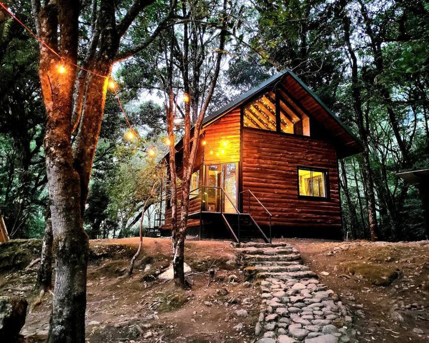 Unicorn Lodge: Direct Riverfront : Unique Experience San Gerardo de Dota Exterior photo