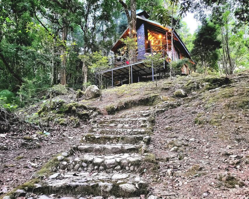 Unicorn Lodge: Direct Riverfront : Unique Experience San Gerardo de Dota Exterior photo